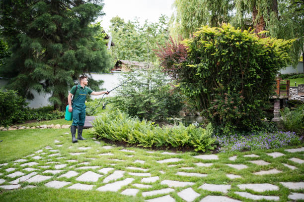 Best Mosquito Control Services  in Concord, MO