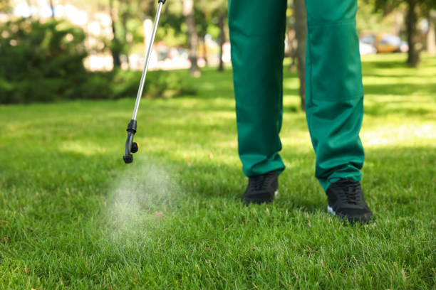 Best Pest Removal Services  in Concord, MO
