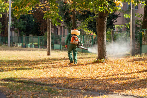 Best Pest Control Near Me in Concord, MO